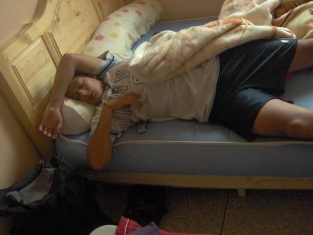 fli^p^